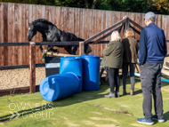 WG181024-25 - Warren Greatrex Stable Visit